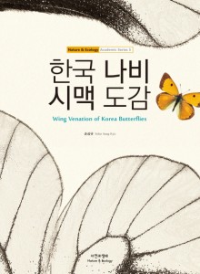 시맥 이미지