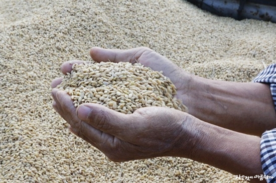 ������_1